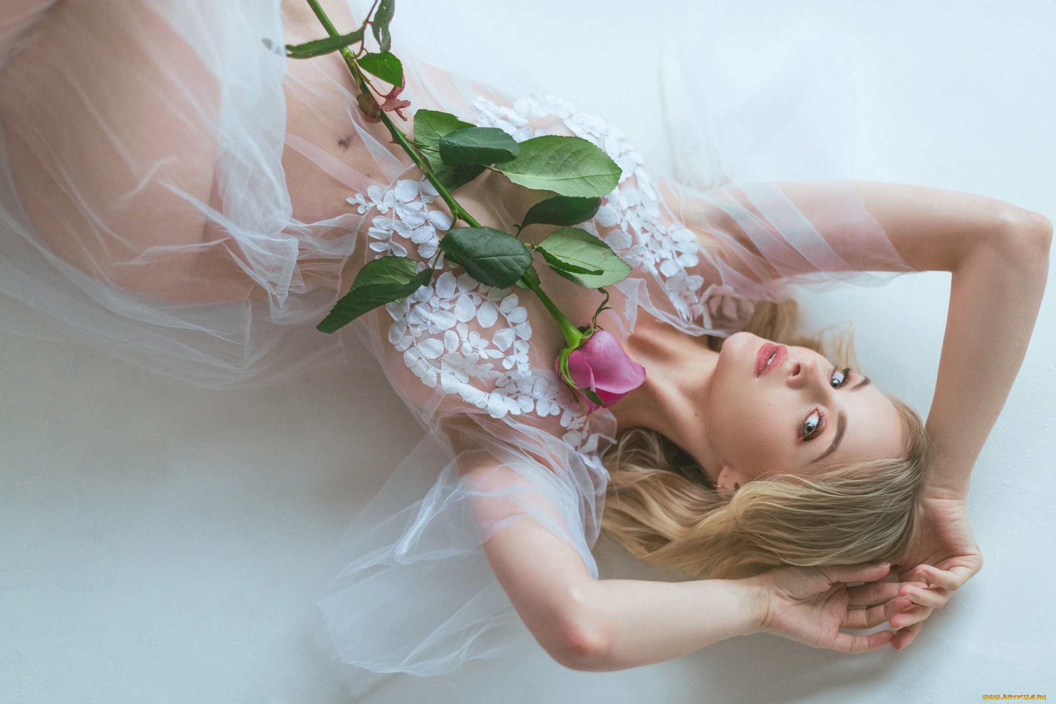 ����� ������, �������, ����� ������ , sophie katssby, �������, �������, ���������, �������������, �����������, ������, ������, ��������, ������, �����, �������, ��������, ������, ������, �����������, �����, �����, ������, ��������, �����, ����������, ������, �, ���������, ���������, ��, ����������